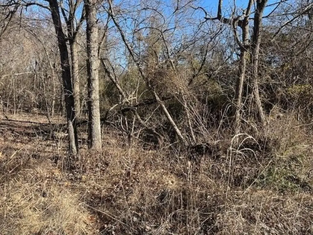 Picture 10