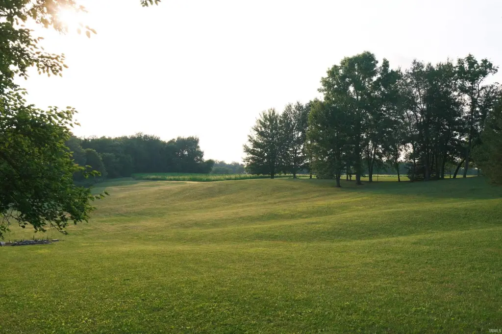 Picture 5