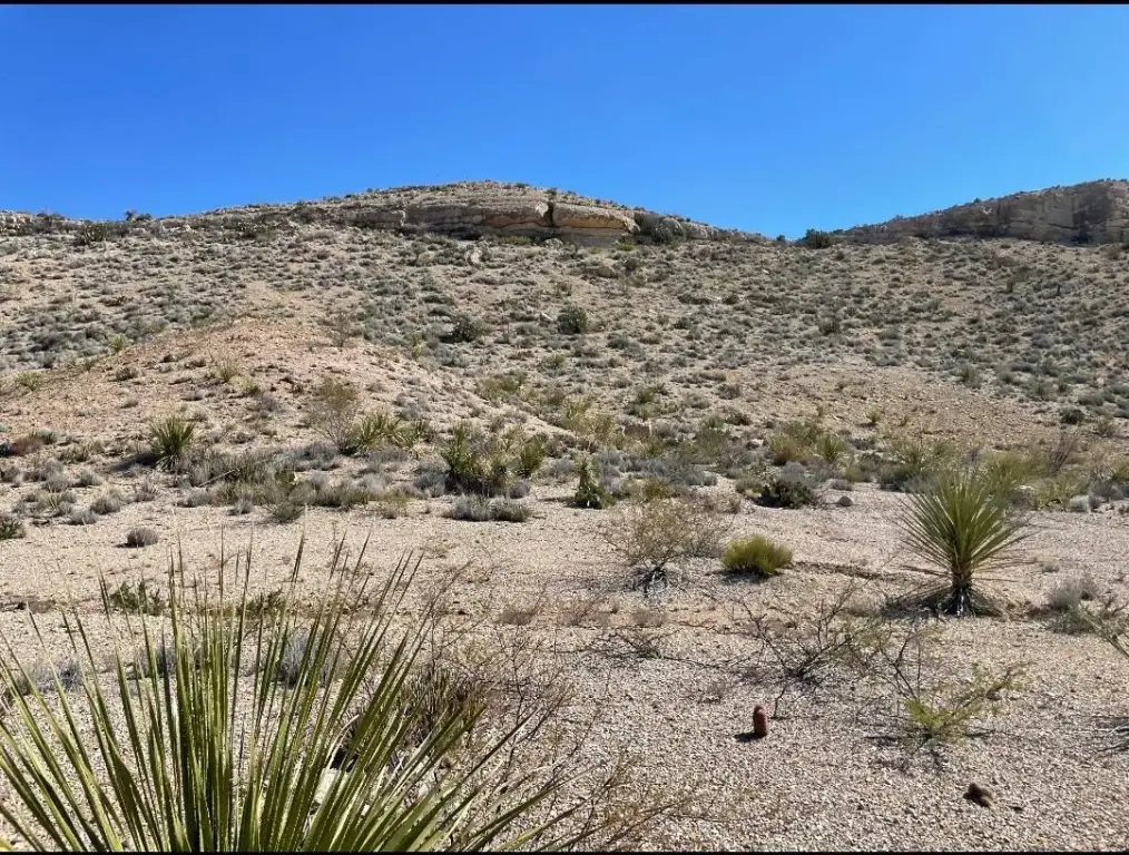 Picture 14