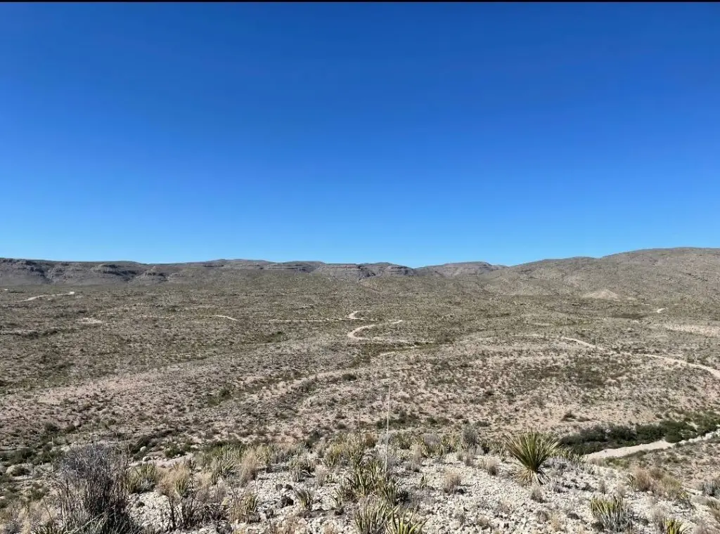 Picture 37