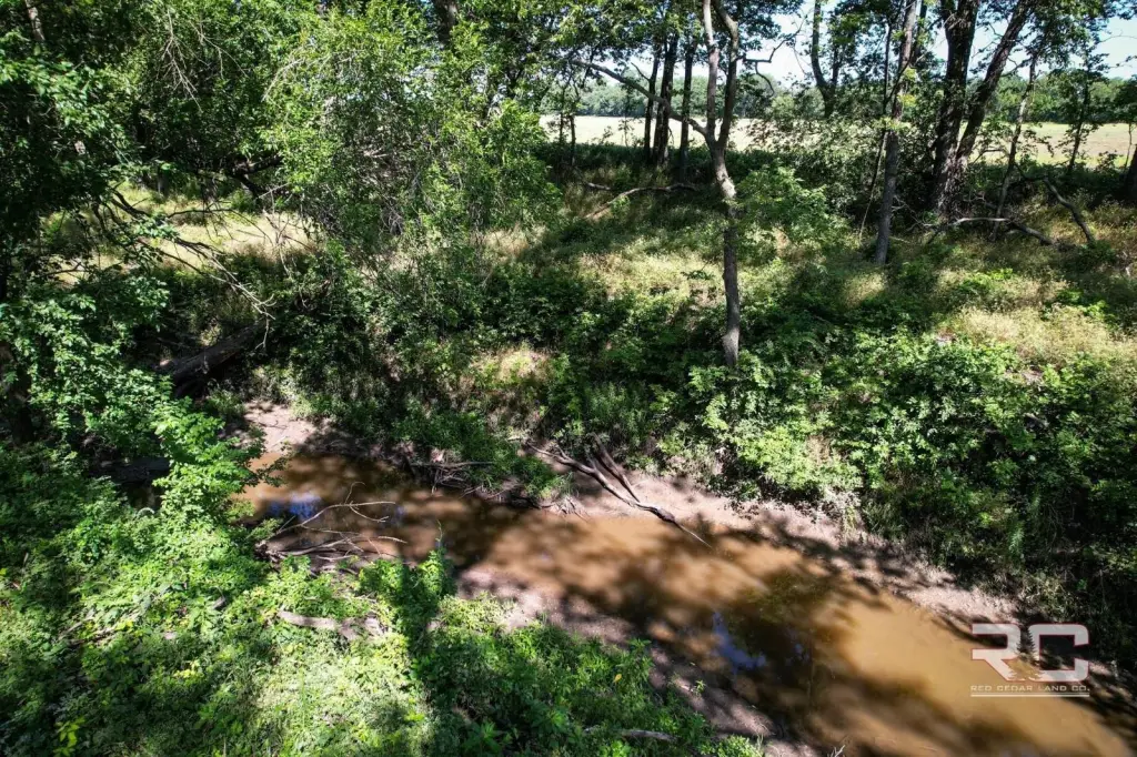 Picture 36