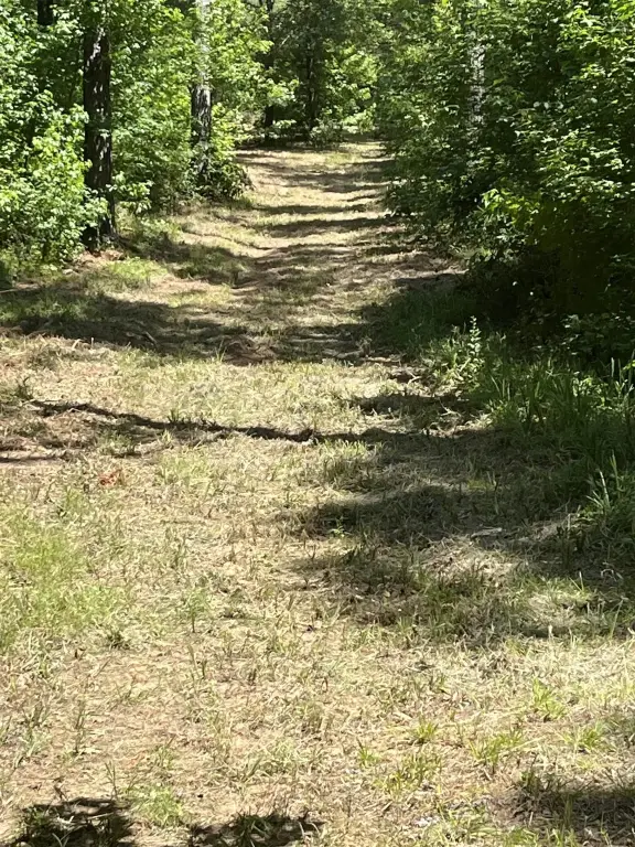 Picture 21