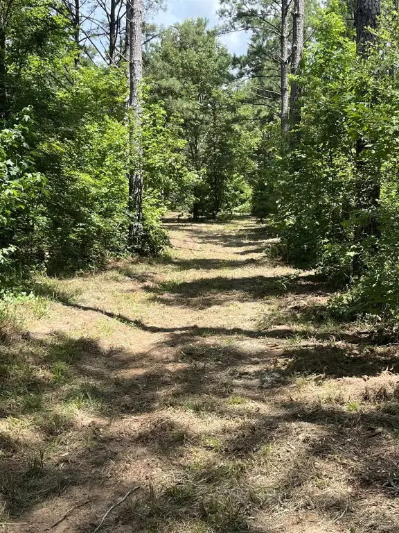 Picture 22