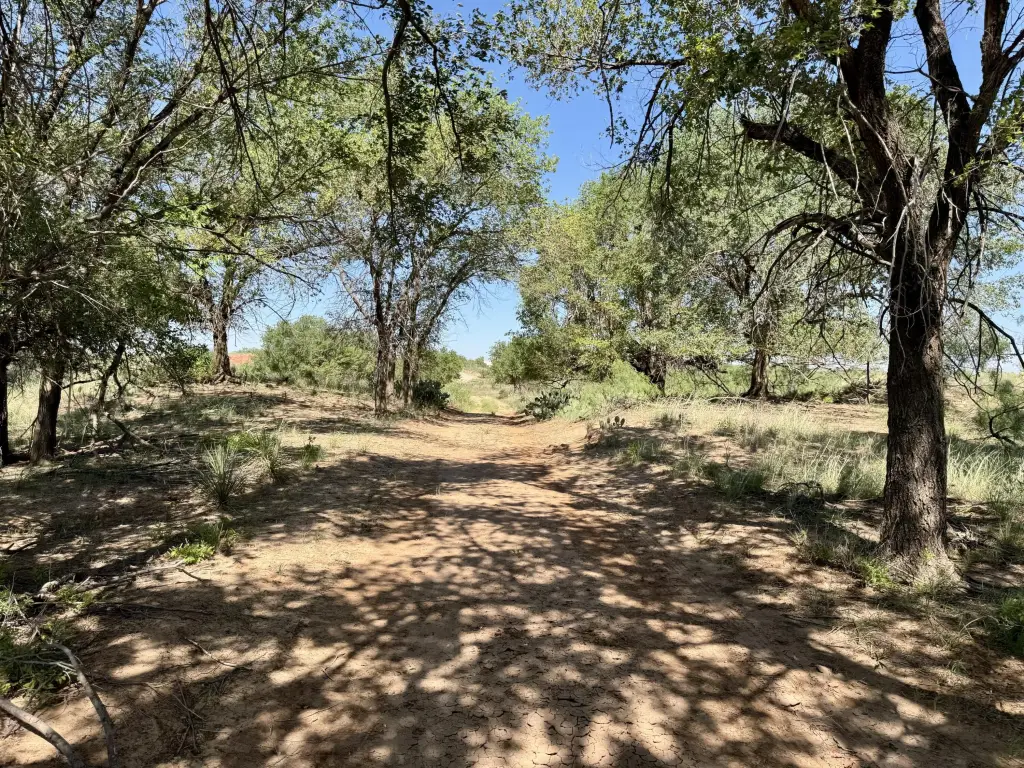 Picture 21
