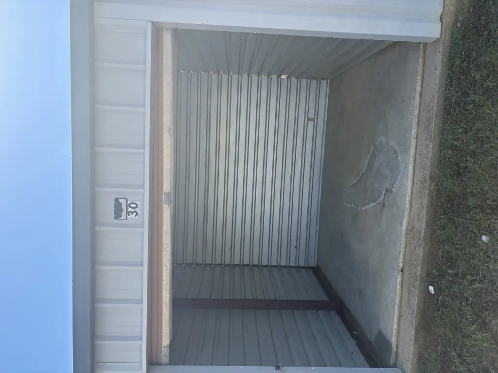Picture 6