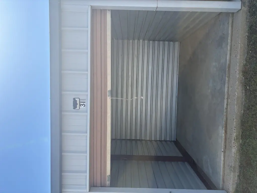Picture 5