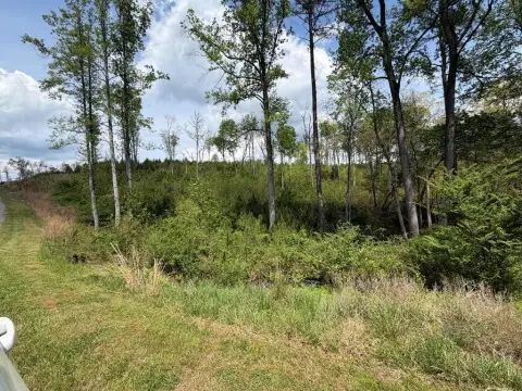 Ellijay Vacant Lot with Stream
