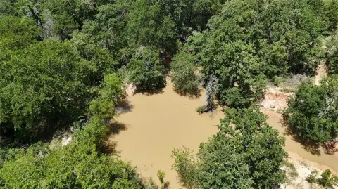 53+ Acre Texas Land Parcel