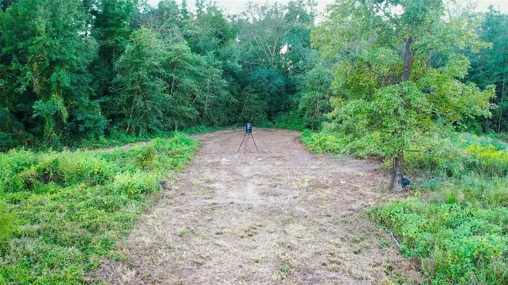 Picture 9
