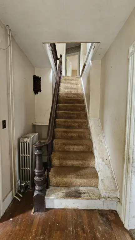 Picture 21