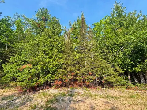 Double Wooded Building Lot