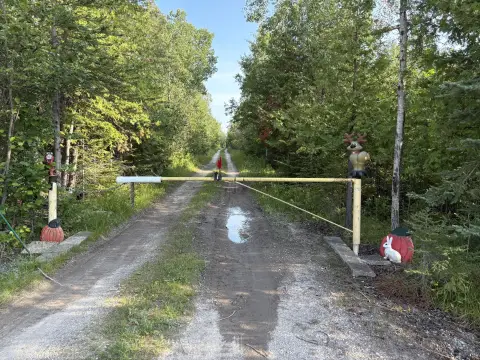 83 Acres Hunting Land, Rogers City