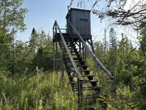 Hunting Land in Rogers City