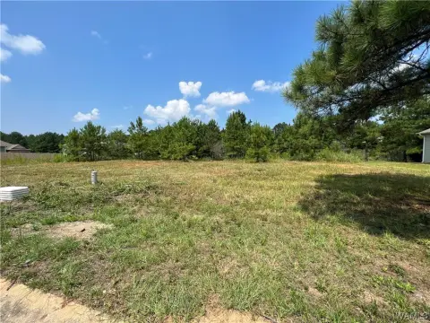Brookwood, AL Lakefront Lot
