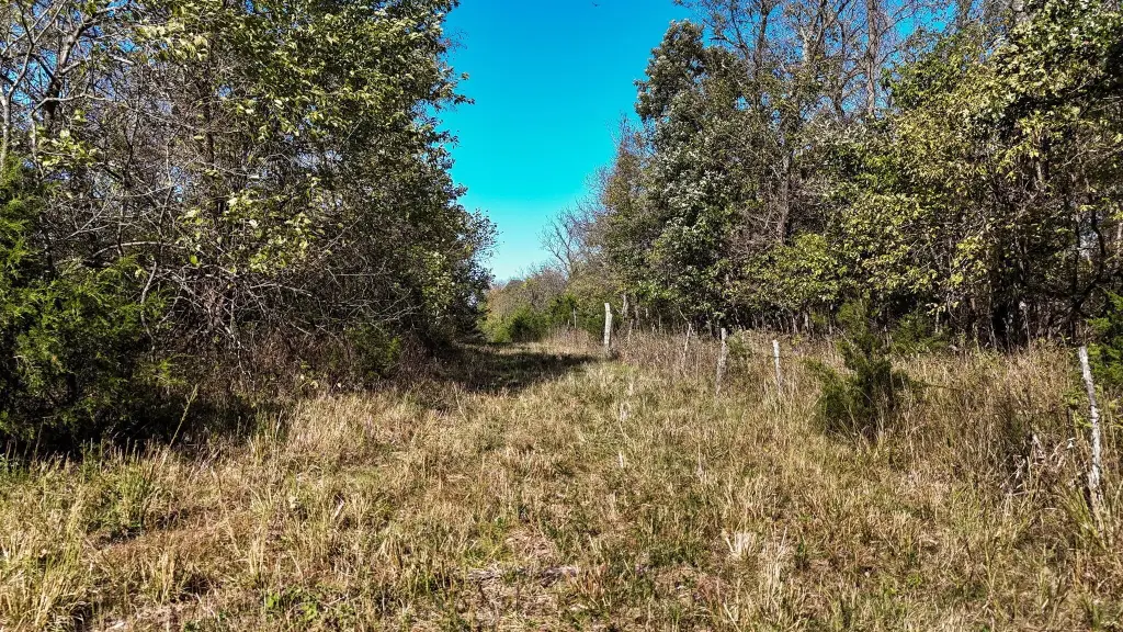 Picture 15