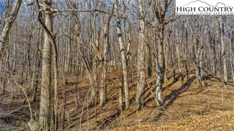 West Jefferson Land For Sale