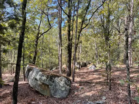 Wooded 10-Acre Recreational Land