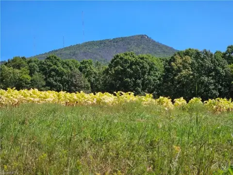 Land with Mountain Views