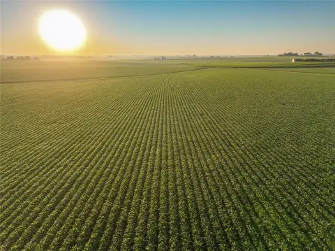Tiled Agricultural Farmland