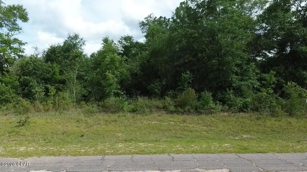 Picture 9