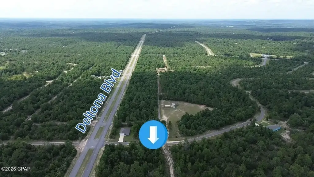 Picture 5