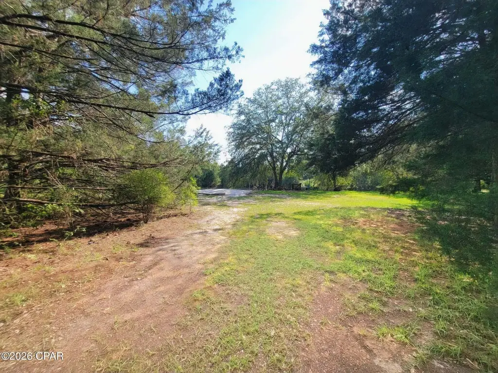 Picture 25