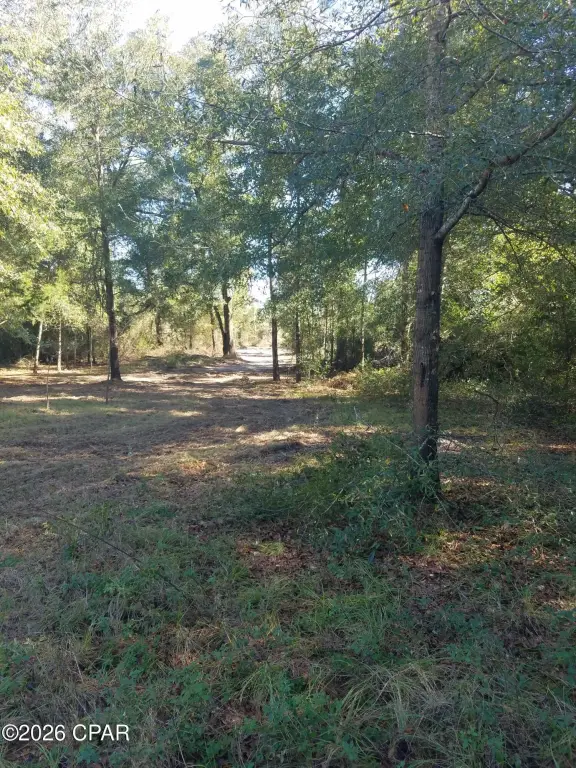Picture 15
