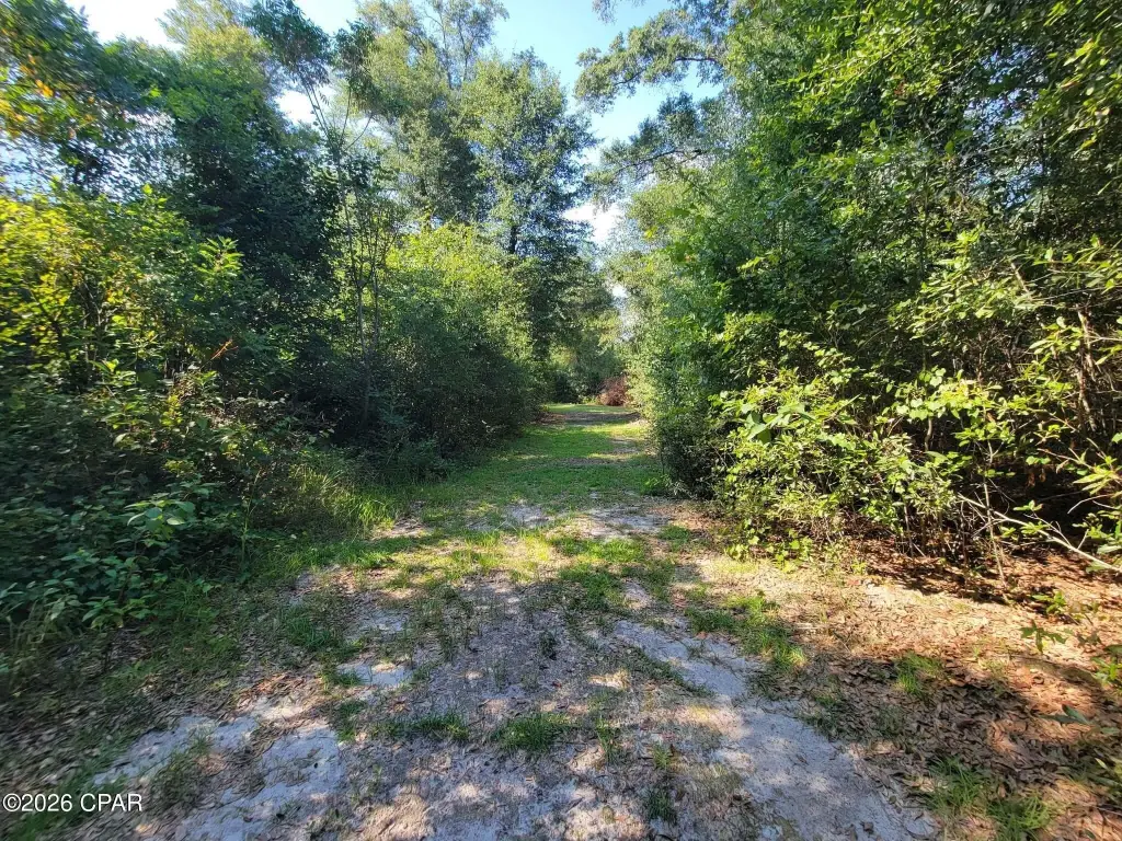 Picture 29