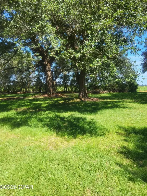 Picture 16