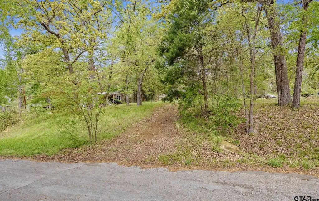Picture 6