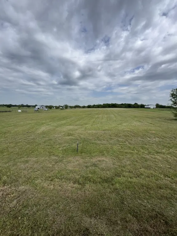 Picture 5