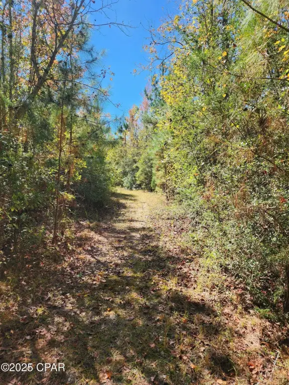 Picture 21