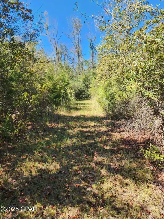 Picture 25