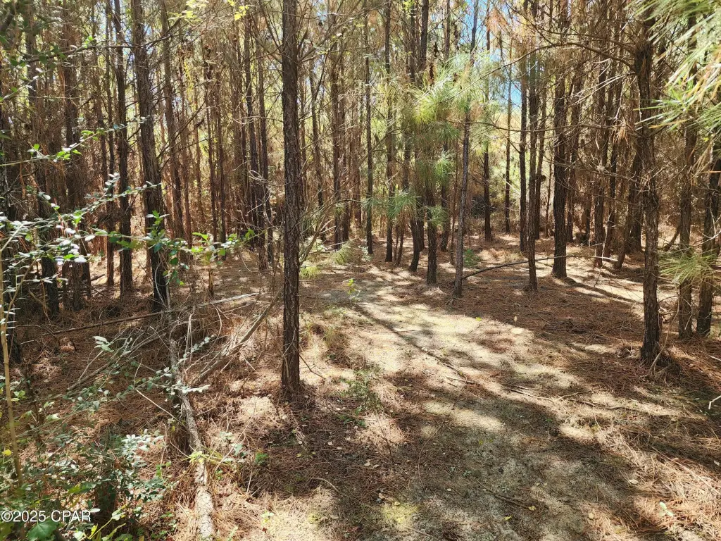 Picture 16
