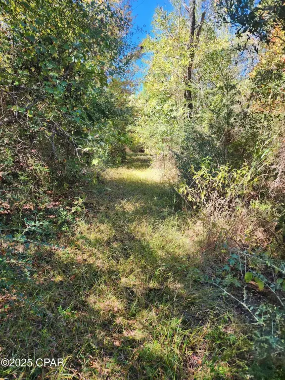 Picture 22