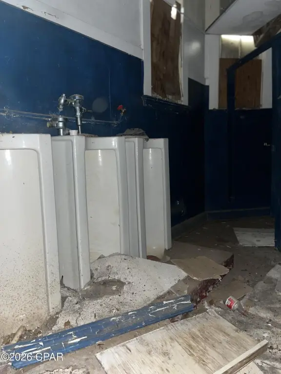 Picture 21