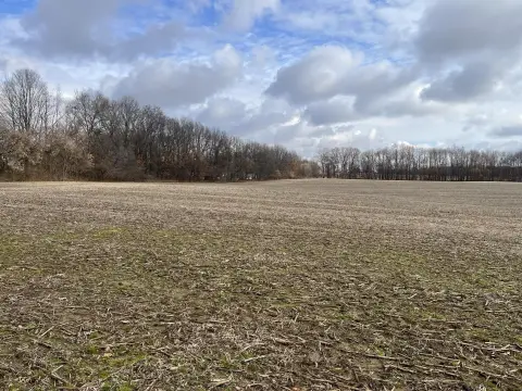 Land For Sale Springport, MI