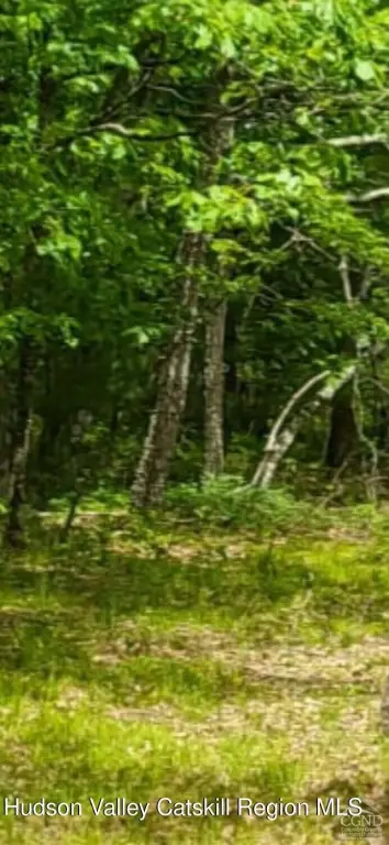 Picture 5