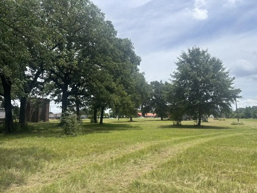 Picture 31