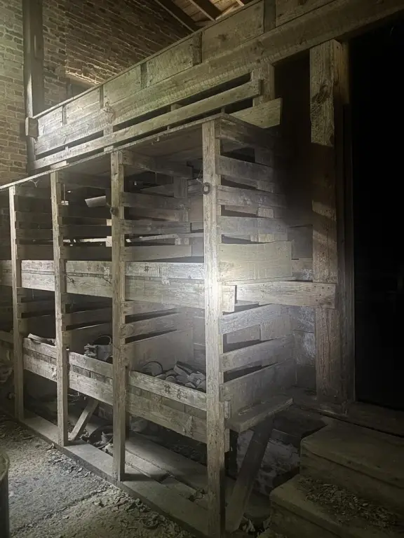 Picture 38