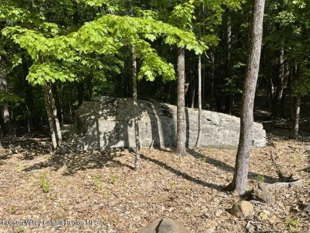 Picture 8