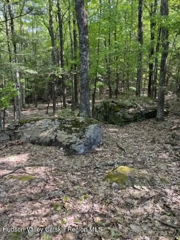 Picture 10