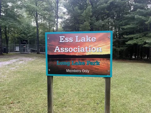 Wooded Lot Near Ess Lake