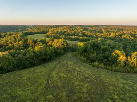Hunting Land with Off-Grid Cabin