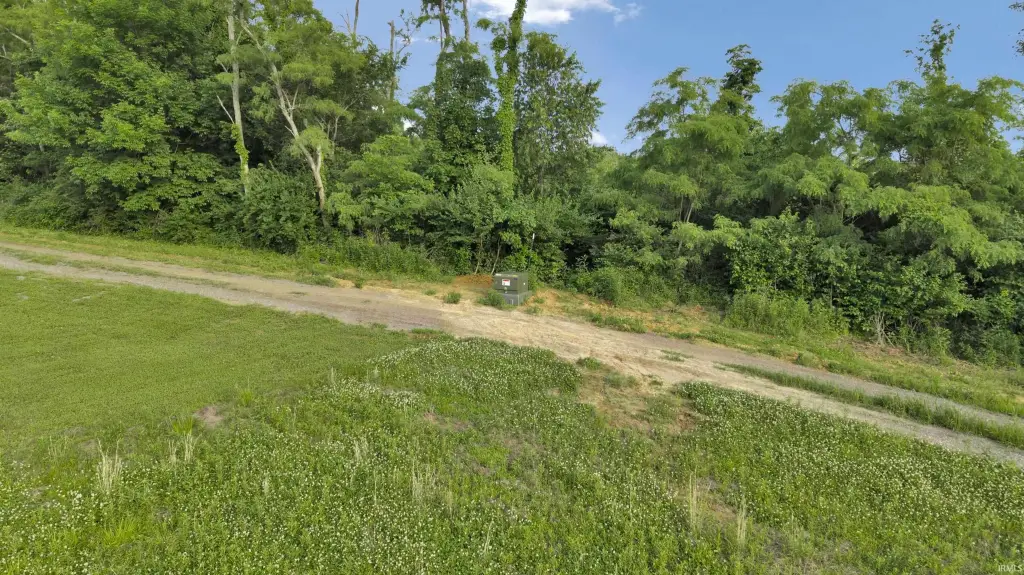 Picture 18