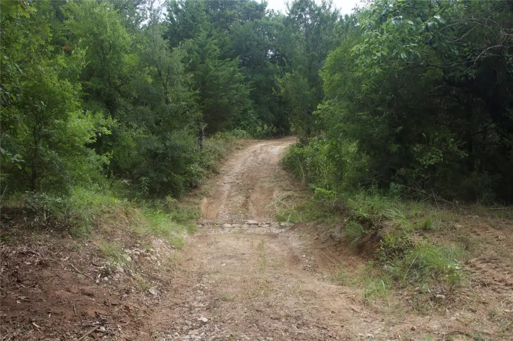 Picture 19