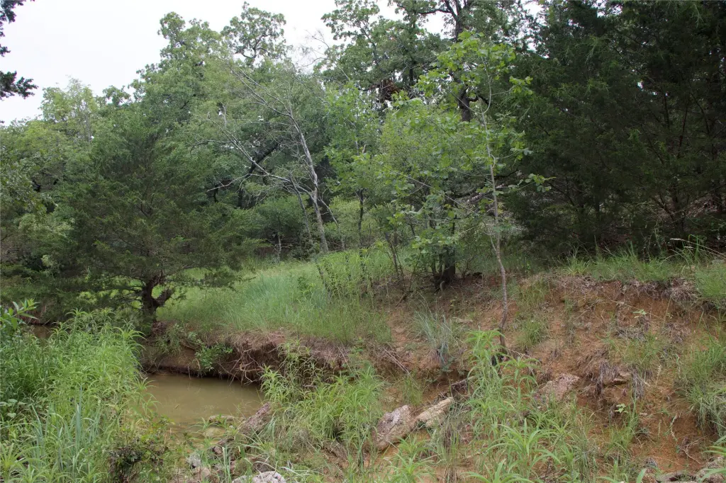 Picture 23