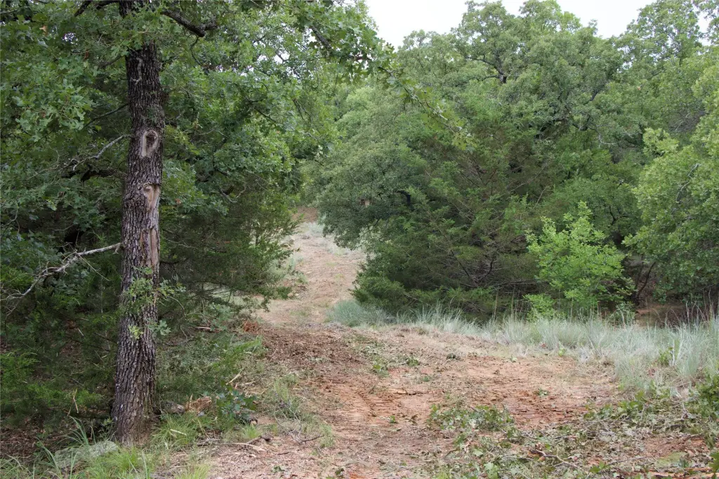 Picture 21
