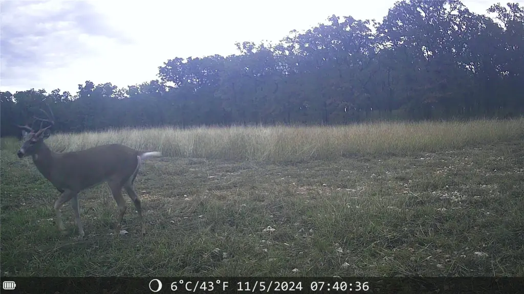 Picture 14