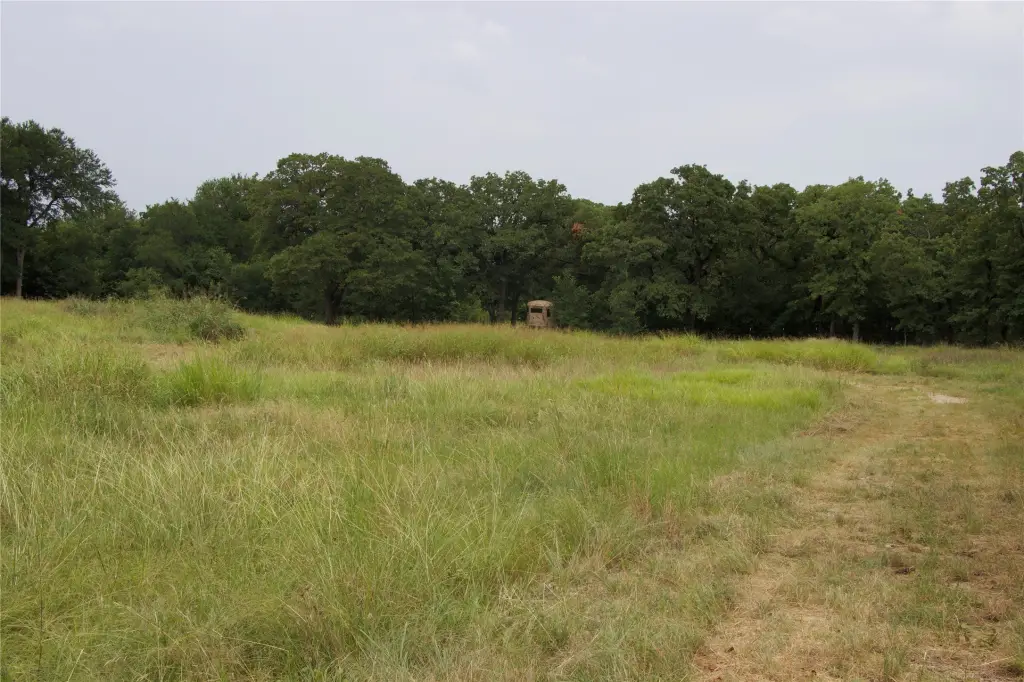 Picture 10